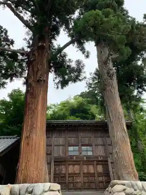 諏訪神社(群馬県)
