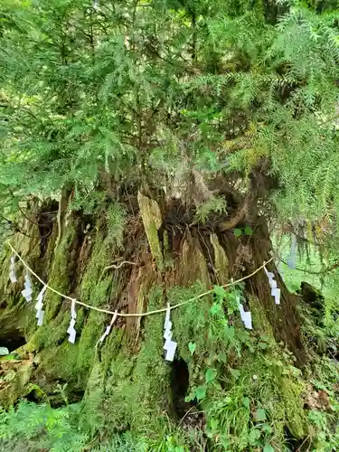 御岩神社の自然
