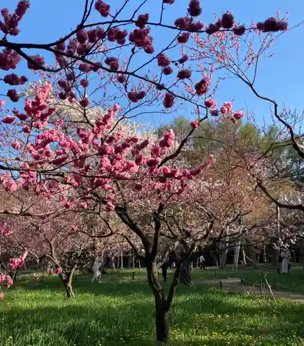 北海道神宮の庭園