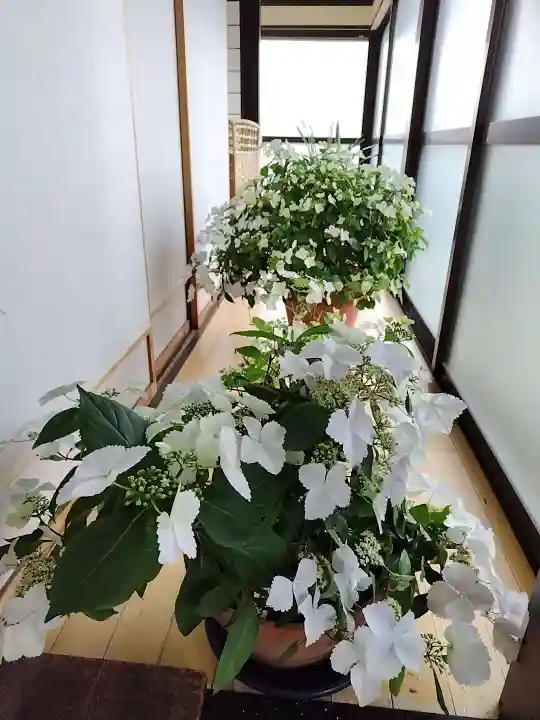 豊景神社の授与品その他