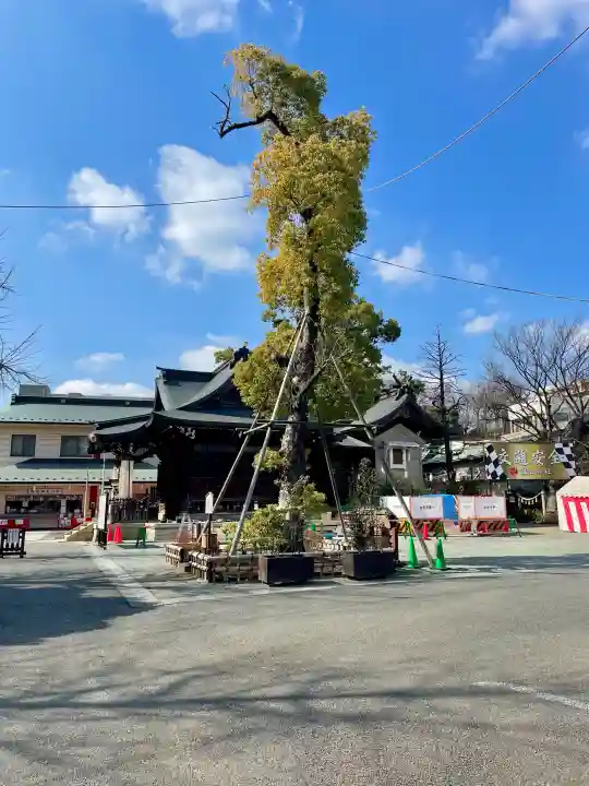 溝口神社の{uncategorized: "未分類", other: "その他", undefined: "問題あり", building: "その他建物", grave: "お墓", sacred_gate: "鳥居", guardian: "狛犬", statue: "像", buddha: "仏像", history: "歴史", nature: "自然", garden: "庭園", animal: "動物", pagoda: "塔", temizu: "手水舎", mountain_gate: "山門・神門", sanctuary: "本殿・本堂", subordinate: "末社・摂社", art: "芸術", scenery: "景色", jizo: "地蔵", ema: "絵馬", goshuin: "御朱印", omikuji: "おみくじ", items: "授与品その他", amulet: "お守り", goshuincho: "御朱印帳", eats: "食事", festival: "お祭り", votive_dance: "神楽", shichigosan: "七五三参", wedding: "結婚式", experience: "体験その他", initially: "初詣", around: "周辺", anti_infection: "感染症対策"}