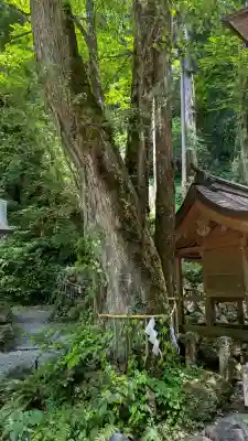 貴船神社奥宮(京都府)