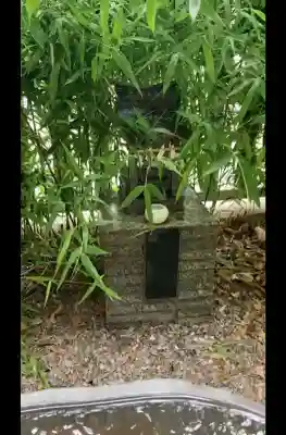 猿田彦神社(東京都)