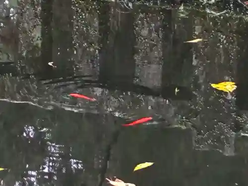 室生寺奥の院(奈良県)