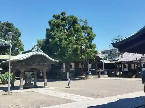 題経寺（柴又帝釈天）のその他建物