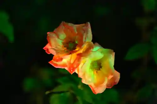 円通院(宮城県)