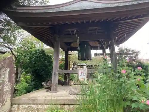 海蔵院(神奈川県)