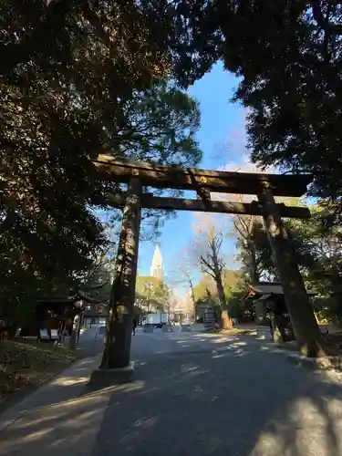 明治神宮の鳥居