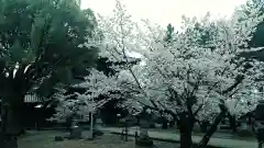 大樹寺（松安院大樹寺）(愛知県)