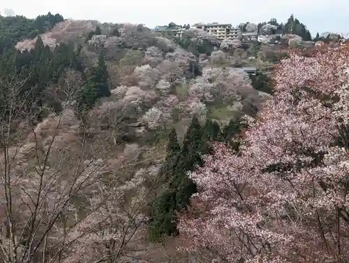 如意輪寺(奈良県)