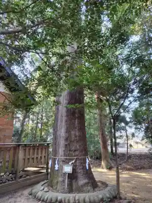 菅谷神社(埼玉県)