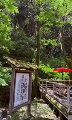 園城寺（三井寺）の{uncategorized: "未分類", other: "その他", undefined: "問題あり", building: "その他建物", grave: "お墓", sacred_gate: "鳥居", guardian: "狛犬", statue: "像", buddha: "仏像", history: "歴史", nature: "自然", garden: "庭園", animal: "動物", pagoda: "塔", temizu: "手水舎", mountain_gate: "山門・神門", sanctuary: "本殿・本堂", subordinate: "末社・摂社", art: "芸術", scenery: "景色", jizo: "地蔵", ema: "絵馬", goshuin: "御朱印", omikuji: "おみくじ", items: "授与品その他", amulet: "お守り", goshuincho: "御朱印帳", eats: "食事", festival: "お祭り", votive_dance: "神楽", shichigosan: "七五三参", wedding: "結婚式", experience: "体験その他", initially: "初詣", around: "周辺", anti_infection: "感染症対策"}