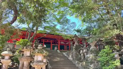 春日大社(奈良県)