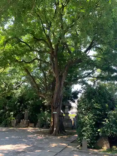 最勝寺教学院の自然