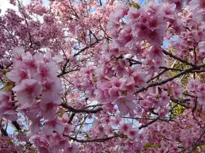 かっぱの寺 栖足寺(静岡県)