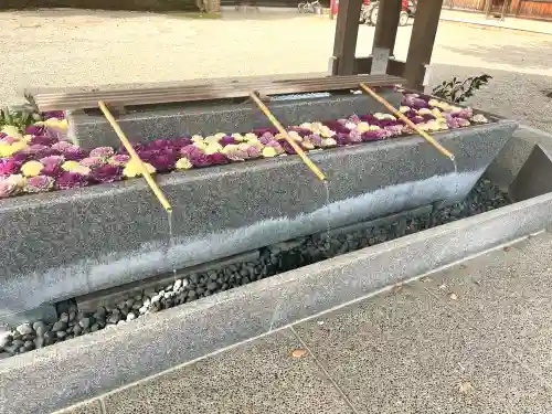 射水神社の{uncategorized: "未分類", other: "その他", undefined: "問題あり", building: "その他建物", grave: "お墓", sacred_gate: "鳥居", guardian: "狛犬", statue: "像", buddha: "仏像", history: "歴史", nature: "自然", garden: "庭園", animal: "動物", pagoda: "塔", temizu: "手水舎", mountain_gate: "山門・神門", sanctuary: "本殿・本堂", subordinate: "末社・摂社", art: "芸術", scenery: "景色", jizo: "地蔵", ema: "絵馬", goshuin: "御朱印", omikuji: "おみくじ", items: "授与品その他", amulet: "お守り", goshuincho: "御朱印帳", eats: "食事", festival: "お祭り", votive_dance: "神楽", shichigosan: "七五三参", wedding: "結婚式", experience: "体験その他", initially: "初詣", around: "周辺", anti_infection: "感染症対策"}