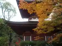 円成寺の{uncategorized: "未分類", other: "その他", undefined: "問題あり", building: "その他建物", grave: "お墓", sacred_gate: "鳥居", guardian: "狛犬", statue: "像", buddha: "仏像", history: "歴史", nature: "自然", garden: "庭園", animal: "動物", pagoda: "塔", temizu: "手水舎", mountain_gate: "山門・神門", sanctuary: "本殿・本堂", subordinate: "末社・摂社", art: "芸術", scenery: "景色", jizo: "地蔵", ema: "絵馬", goshuin: "御朱印", omikuji: "おみくじ", items: "授与品その他", amulet: "お守り", goshuincho: "御朱印帳", eats: "食事", festival: "お祭り", votive_dance: "神楽", shichigosan: "七五三参", wedding: "結婚式", experience: "体験その他", initially: "初詣", around: "周辺", anti_infection: "感染症対策"}