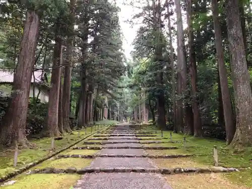 平泉寺白山神社(福井県)