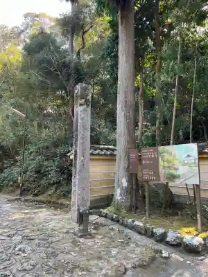 竹林寺の{uncategorized: "未分類", other: "その他", undefined: "問題あり", building: "その他建物", grave: "お墓", sacred_gate: "鳥居", guardian: "狛犬", statue: "像", buddha: "仏像", history: "歴史", nature: "自然", garden: "庭園", animal: "動物", pagoda: "塔", temizu: "手水舎", mountain_gate: "山門・神門", sanctuary: "本殿・本堂", subordinate: "末社・摂社", art: "芸術", scenery: "景色", jizo: "地蔵", ema: "絵馬", goshuin: "御朱印", omikuji: "おみくじ", items: "授与品その他", amulet: "お守り", goshuincho: "御朱印帳", eats: "食事", festival: "お祭り", votive_dance: "神楽", shichigosan: "七五三参", wedding: "結婚式", experience: "体験その他", initially: "初詣", around: "周辺", anti_infection: "感染症対策"}
