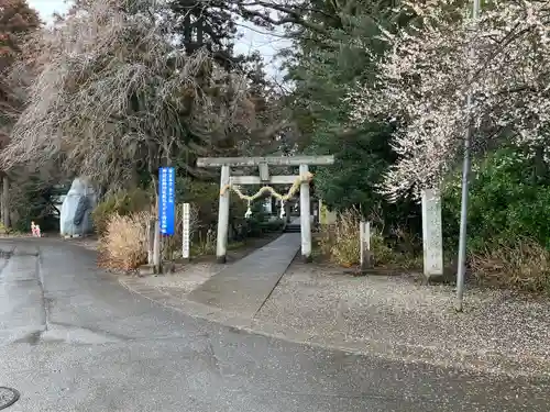 下野 星宮神社(栃木県)