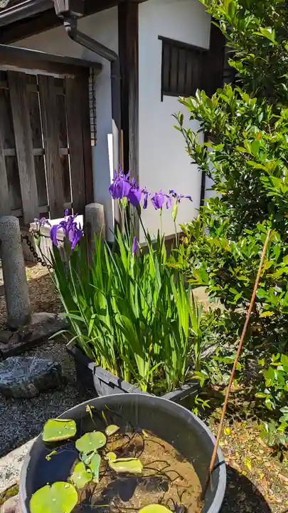 香雪院(京都府)
