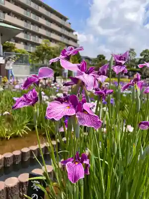 堀切天祖神社(東京都)