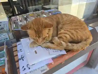 南法華寺（壷阪寺）(奈良県)