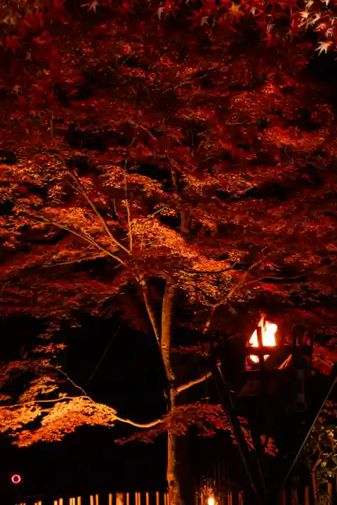 北野天満宮(京都府)