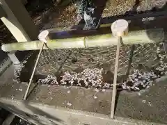  湊八幡神社の手水