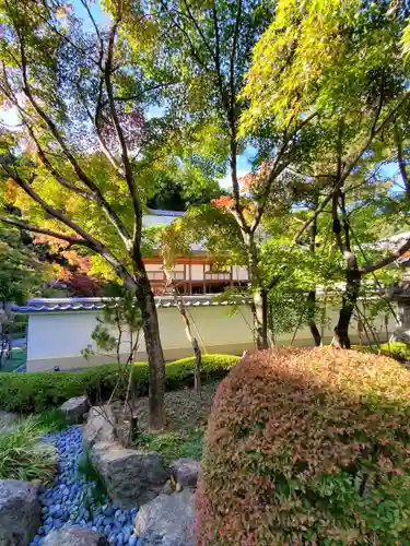 宝徳寺(群馬県)