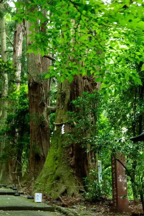 白山比咩神社(石川県)