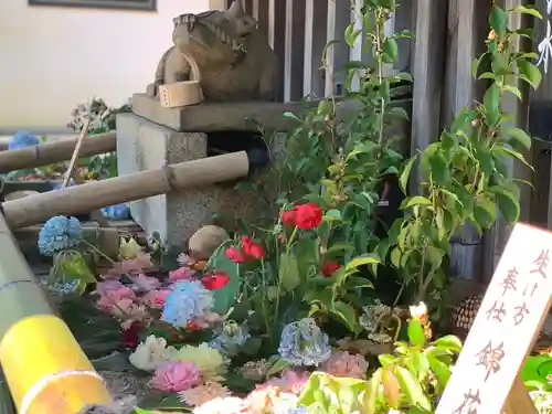 北野天満宮の手水舎