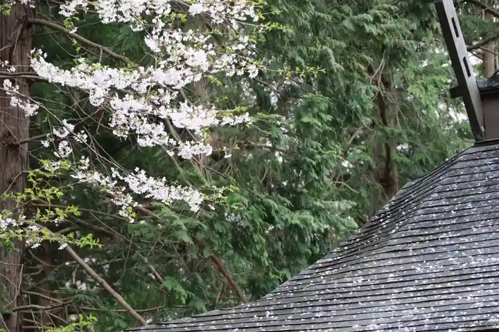 王宮伊豆神社の自然