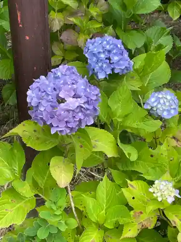 久安寺(大阪府)