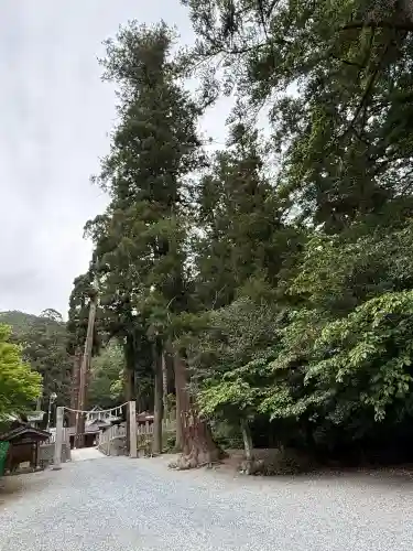 安志加茂神社の{uncategorized: "未分類", other: "その他", undefined: "問題あり", building: "その他建物", grave: "お墓", sacred_gate: "鳥居", guardian: "狛犬", statue: "像", buddha: "仏像", history: "歴史", nature: "自然", garden: "庭園", animal: "動物", pagoda: "塔", temizu: "手水舎", mountain_gate: "山門・神門", sanctuary: "本殿・本堂", subordinate: "末社・摂社", art: "芸術", scenery: "景色", jizo: "地蔵", ema: "絵馬", goshuin: "御朱印", omikuji: "おみくじ", items: "授与品その他", amulet: "お守り", goshuincho: "御朱印帳", eats: "食事", festival: "お祭り", votive_dance: "神楽", shichigosan: "七五三参", wedding: "結婚式", experience: "体験その他", initially: "初詣", around: "周辺", anti_infection: "感染症対策"}