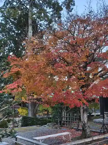 西教寺(滋賀県)