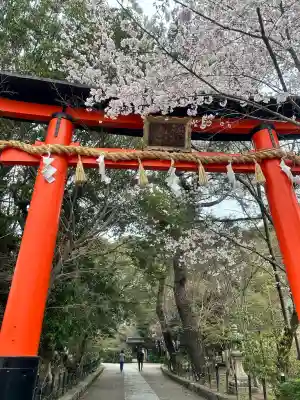 宇治上神社の{uncategorized: "未分類", other: "その他", undefined: "問題あり", building: "その他建物", grave: "お墓", sacred_gate: "鳥居", guardian: "狛犬", statue: "像", buddha: "仏像", history: "歴史", nature: "自然", garden: "庭園", animal: "動物", pagoda: "塔", temizu: "手水舎", mountain_gate: "山門・神門", sanctuary: "本殿・本堂", subordinate: "末社・摂社", art: "芸術", scenery: "景色", jizo: "地蔵", ema: "絵馬", goshuin: "御朱印", omikuji: "おみくじ", items: "授与品その他", amulet: "お守り", goshuincho: "御朱印帳", eats: "食事", festival: "お祭り", votive_dance: "神楽", shichigosan: "七五三参", wedding: "結婚式", experience: "体験その他", initially: "初詣", around: "周辺", anti_infection: "感染症対策"}