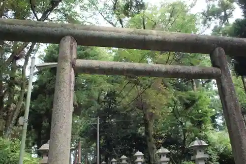 気多神社の鳥居