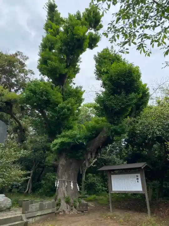 鎌数伊勢大神宮の{uncategorized: "未分類", other: "その他", undefined: "問題あり", building: "その他建物", grave: "お墓", sacred_gate: "鳥居", guardian: "狛犬", statue: "像", buddha: "仏像", history: "歴史", nature: "自然", garden: "庭園", animal: "動物", pagoda: "塔", temizu: "手水舎", mountain_gate: "山門・神門", sanctuary: "本殿・本堂", subordinate: "末社・摂社", art: "芸術", scenery: "景色", jizo: "地蔵", ema: "絵馬", goshuin: "御朱印", omikuji: "おみくじ", items: "授与品その他", amulet: "お守り", goshuincho: "御朱印帳", eats: "食事", festival: "お祭り", votive_dance: "神楽", shichigosan: "七五三参", wedding: "結婚式", experience: "体験その他", initially: "初詣", around: "周辺", anti_infection: "感染症対策"}