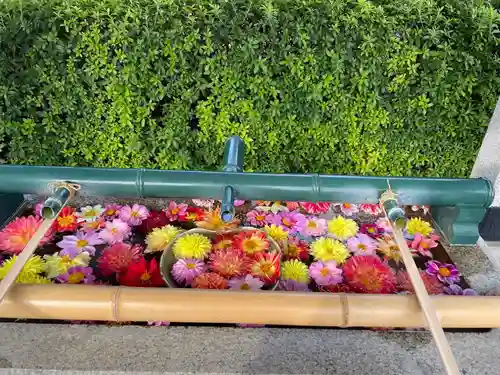 伊和志津神社(兵庫県)