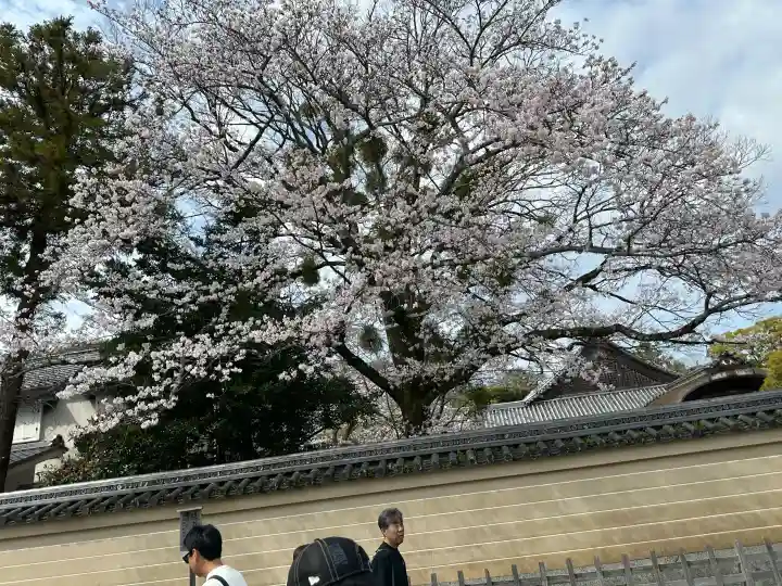 伊勢神宮内宮(皇大神宮)の自然