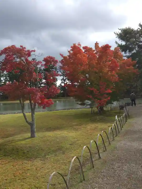 毛越寺の御朱印