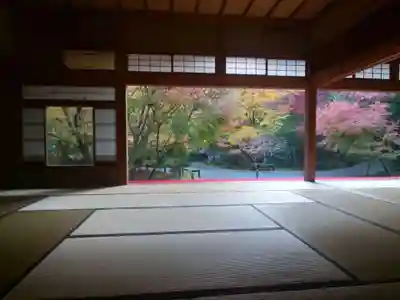 圓光寺の本殿・本堂