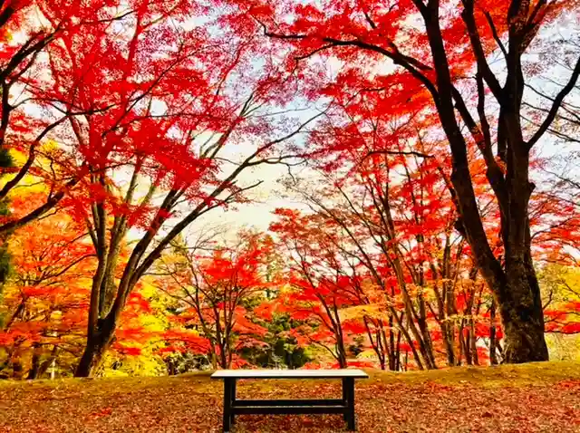 土津神社|こどもと出世の神さまの自然
