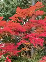 輪王寺(宮城県)