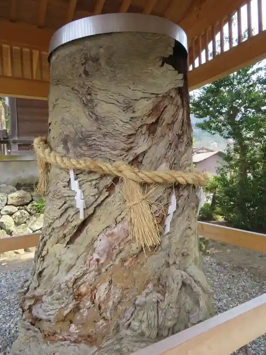 飛騨一宮水無神社の自然