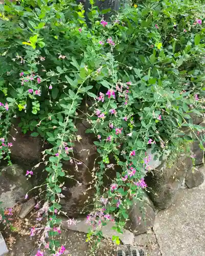 東光院(大阪府)