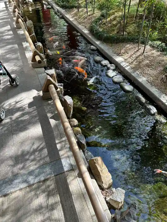 秩父神社(埼玉県)
