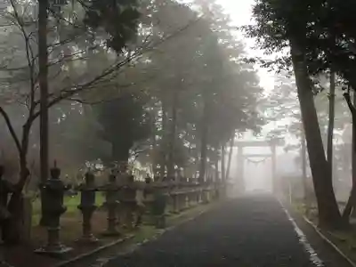 伊奈冨神社の鳥居