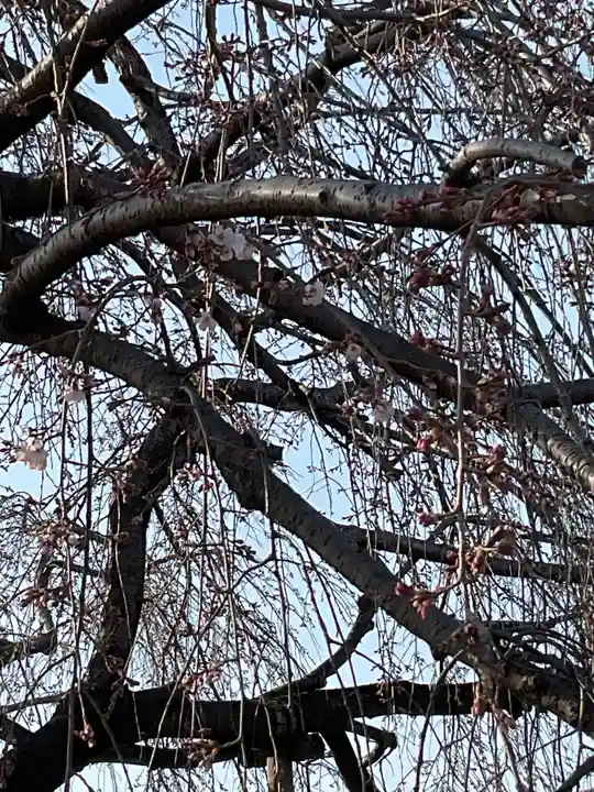 正眼寺(愛知県)